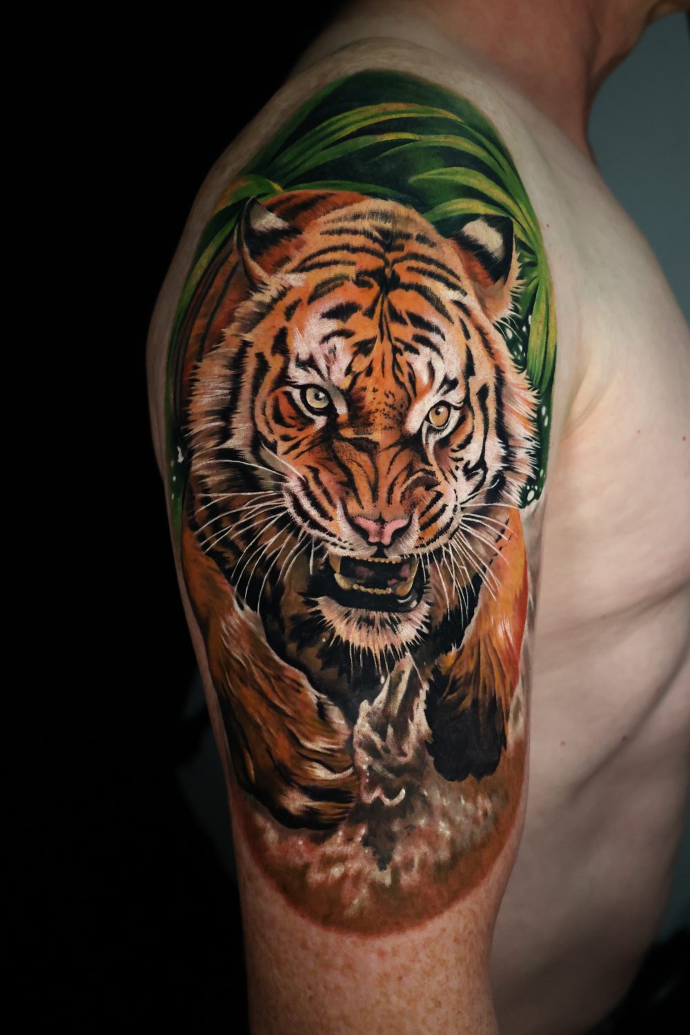 Bengal tiger colour realism
