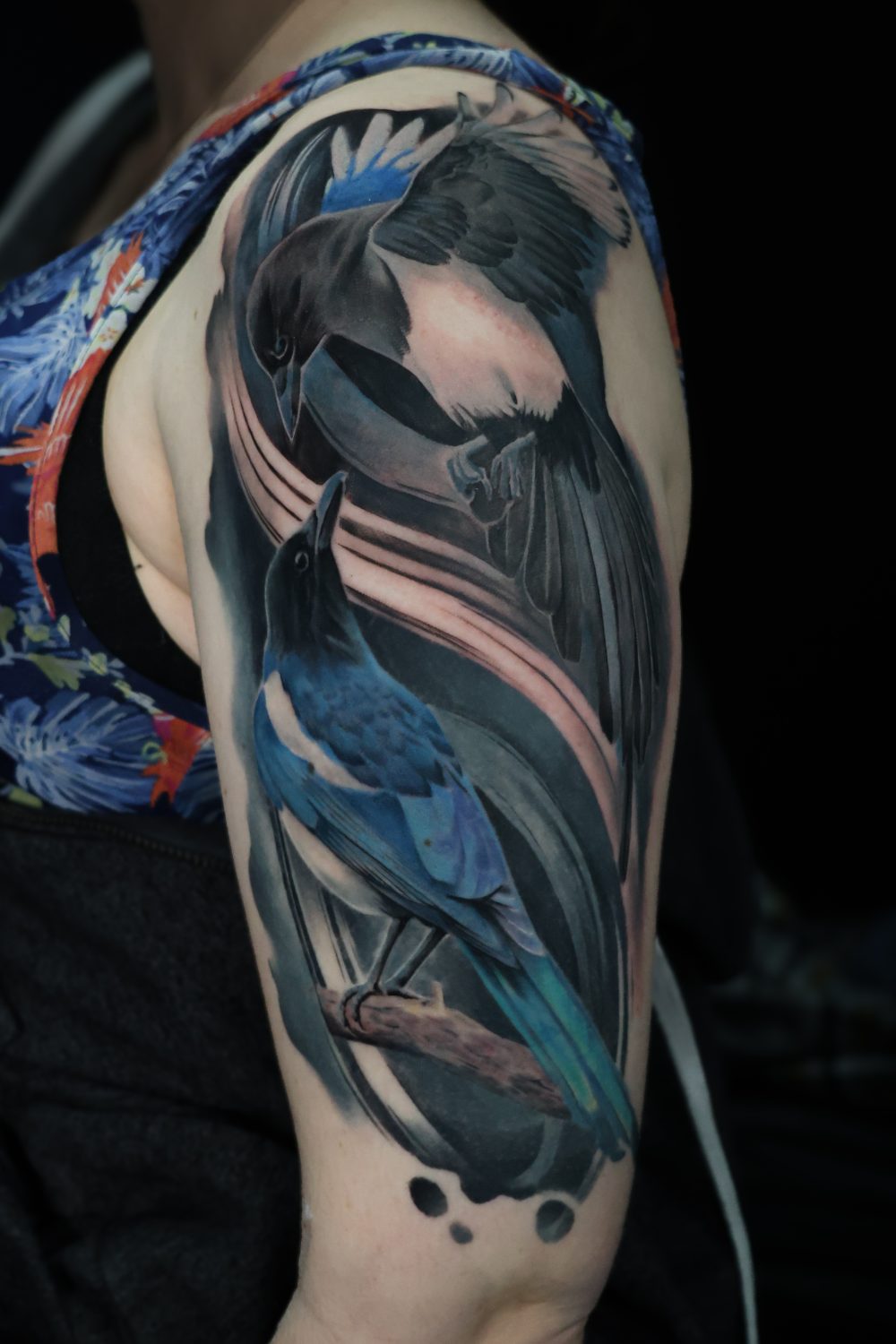 Steller's jays colour realism sleeve