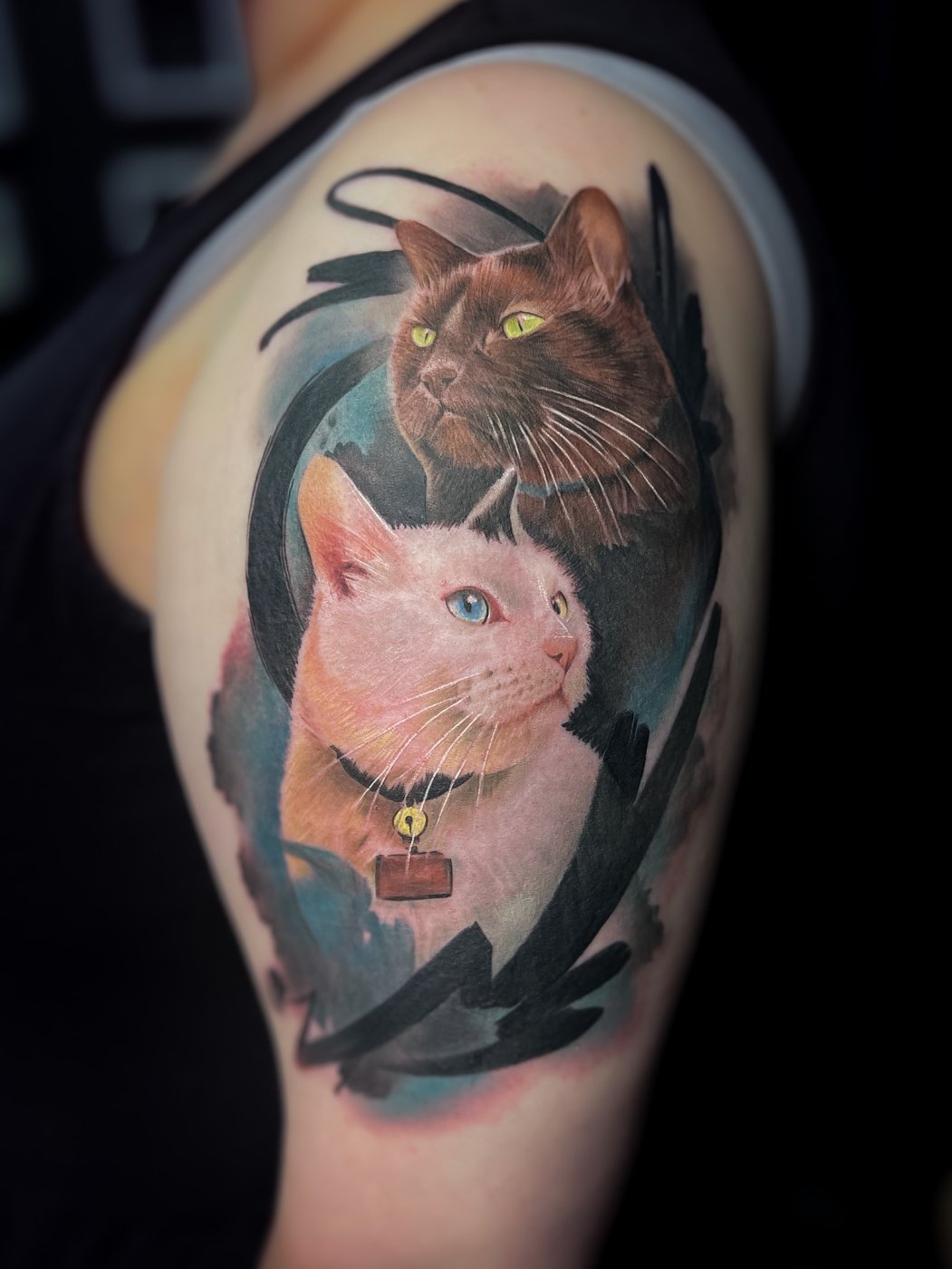 Two cats colour realism portrait tattoo by Kimmi Gayle, Derby